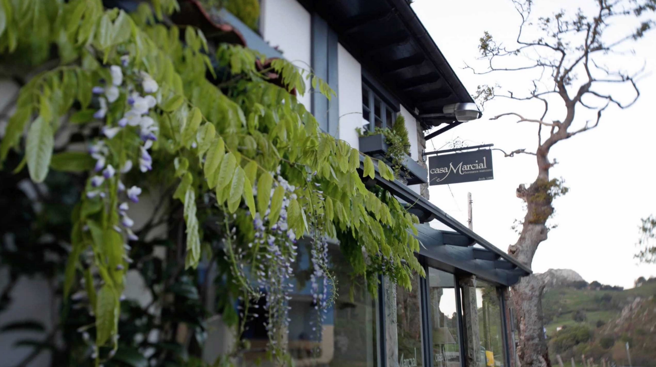 Casa Marcial: A Taste of Asturias at Its Most Refined